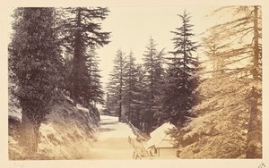  door Samuel Bourne