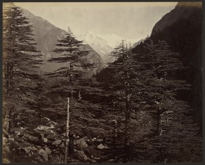 Besneeuwde bergtoppen bij Gangotri, vanuit Bhairamghati door Samuel Bourne