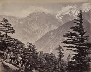 De hogere Himalaya. Gezicht nabij de China Mountains. Himalayaceders op de voorgrond door Samuel Bourne