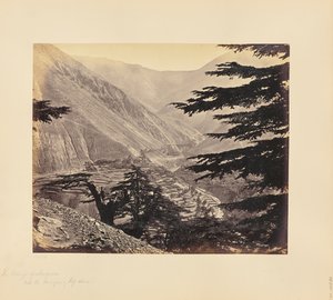  door Samuel Bourne