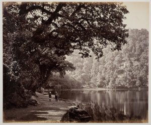 Zonder titel [bomen bij water, India], 1870s