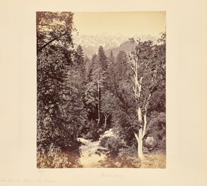  door Samuel Bourne