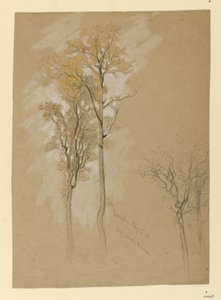Eiken, Lady Wood Lane, Irvington door Samuel Colman