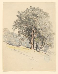 Studie van Eikenbomen bij Lake Dunmore, Vermont