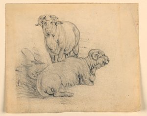 Studie van twee rammen door Samuel Colman