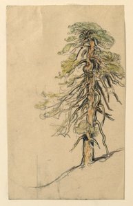 Studie van een boom op een heuvel door Samuel Colman