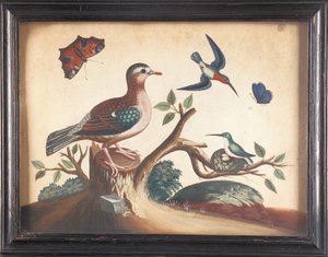 Groen gevleugelde duif, met roodkeelkolibries, pauwvlinder en ultramarijnvlinder door Samuel Dixon