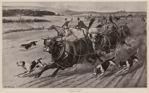 Bravo Toro! (litho)