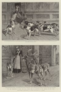 U wordt verzocht de Haldeuren gesloten te houden vanwege de Dieren in het Park (litho) door Samuel Edmund (after) Waller