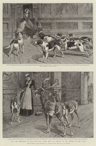 U wordt verzocht de Haldeuren gesloten te houden vanwege de dieren in het park door Samuel Edmund Waller