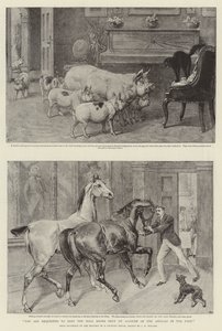 U wordt verzocht de haldeuren gesloten te houden vanwege de dieren in het park door Samuel Edmund Waller