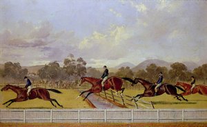 Een Steeplechase door Samuel Henry Alken