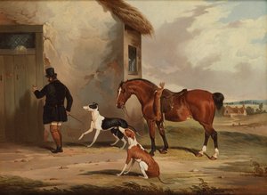 Coursing: Terugkeer