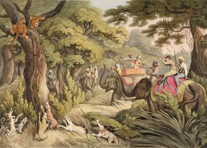 Een Luipaard Schieten, uit Oriental Field Sports, uitgegeven door Edward Orme, 1807