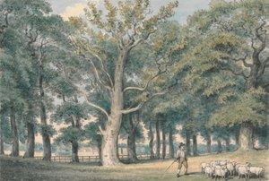 Een Parklandschap met Herder en Schapen door Samuel Howitt