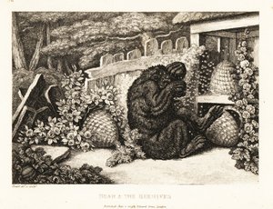 Een bruine beer aangevallen door een leger bijen. 1811 (ets)