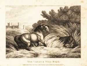 Een paard en een wild zwijn tegenover elkaar in een weiland. 1811 (ets) door Samuel Howitt