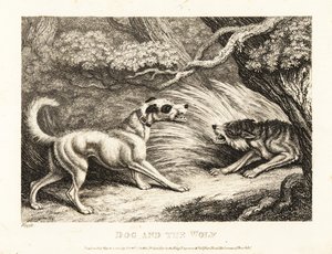 Een huishond in een halsband biedt voedsel aan een uitgehongerde wolf. 1811