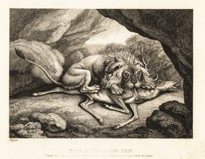 Een leeuw die het karkas van een hert in een grot eet. 1811