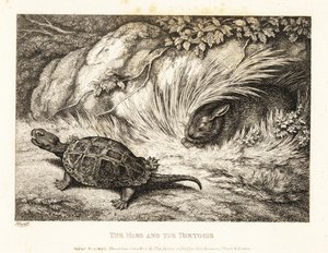 Een schildpad haalt een slapende haas in tijdens een race. 1811 (ets)