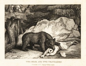 Een reiziger met tulband doet alsof hij dood is terwijl hij wordt aangevallen door een beer. 1811 (ets)
