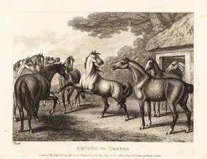 Een jong veulen probeert een muiterij in de stallen te veroorzaken. 1811 (ets)
