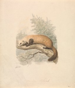 Bunzing door Samuel Howitt