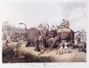 De dode tijger; Mort du tigre, 1807