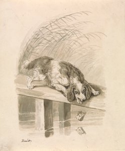 De Hond en De Schaduw