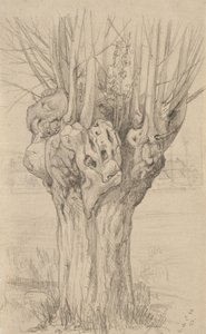 Knoestige boom, 1884 door Samuel Isham