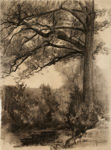 Landschap met grote boom, 1884 door Samuel Isham