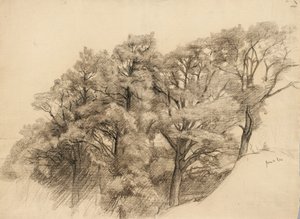 Landschap met bomen, 1884 door Samuel Isham