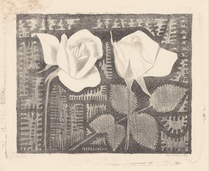 Twee rozen