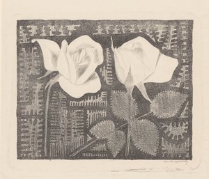 Twee rozen