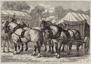 Bijeenkomst van de Lincolnshire Agricultural Society in Sleaford, Eerste-prijs team van paarden