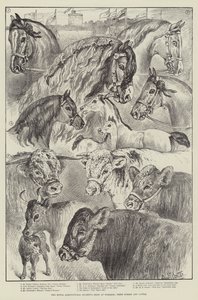 De Royal Agricultural Society