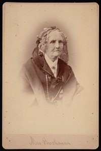 Portret van Mevrouw Buchanan door Samuel Montague Fassett