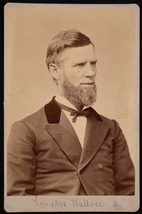 Portret van William Andrew Wallace door Samuel Montague Fassett