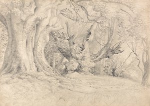 Oude Bomen, Lullingstone Park door Samuel Palmer