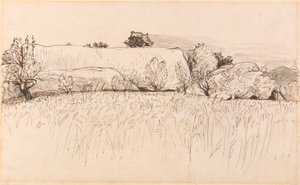 Korenvelden met schuur, Shoreham door Samuel Palmer