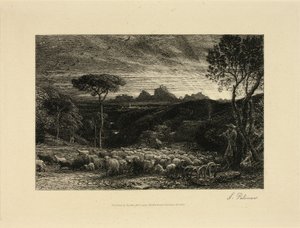 Vroege ochtend