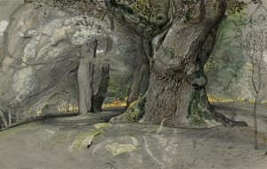 Eik en beuk, Lullingstone Park