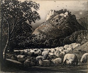De kudde en de ster, c1831-1832