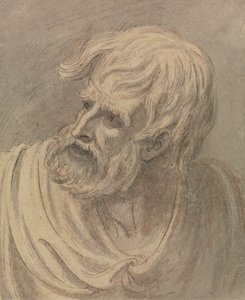 Hoofd van een man met een baard die naar links kijkt door Samuel de Wilde