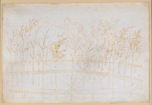 La Divina Commedia, Paradiso I: De beklimming naar de hemelse sferen. Beatrice legt Dante de werkende krachten van het heelal uit door Sandro Botticelli