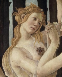 De Lente door Sandro Botticelli