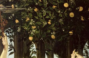 Primavera, detail van de sinaasappelboom, ca. 1478 door Sandro Botticelli