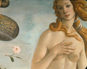 De geboorte van Venus (Venus Anadyomene)