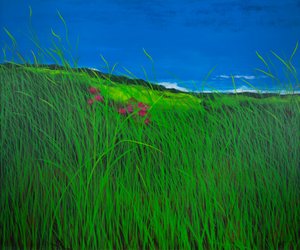  door Sandy Iseli