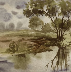 Rustige weerspiegeling in de rivier